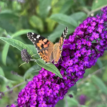 Dom wakacyjny M&m Kołczewo