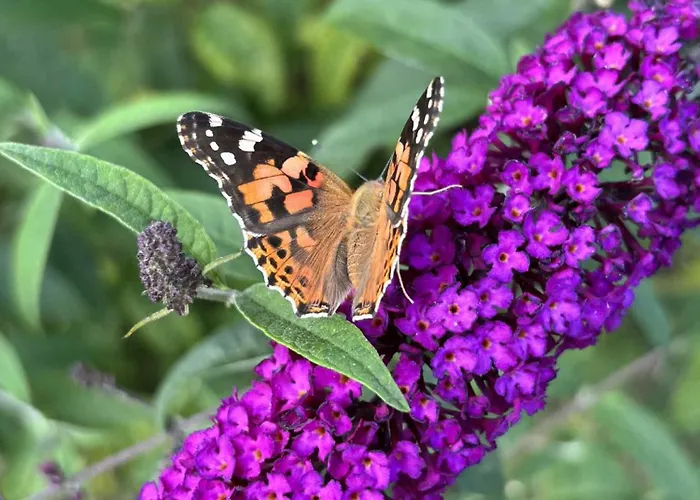 Ferienhaus M&m Kołczewo